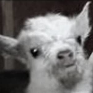 Meet your Posher, Egdar